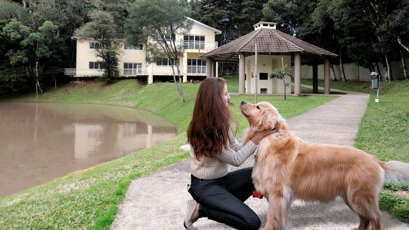 Moradora com seu cachorro na área comum, à beira do lago do condomínio